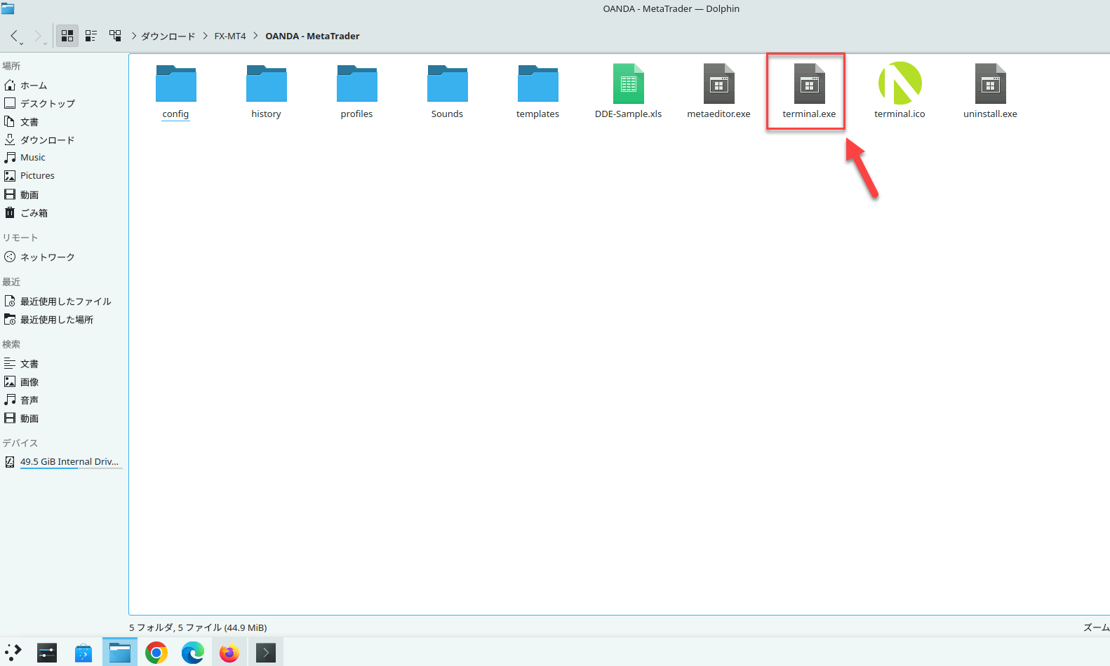 MT4フォルダー内のterminal.exeの場所を示した画面