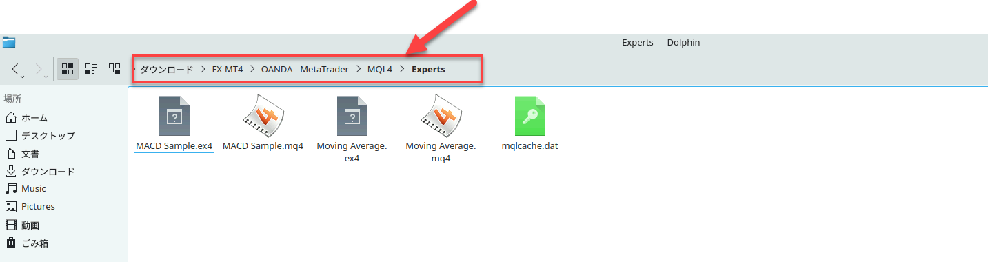 MT4フォルダー内のMQL4からExpertsフォルダーまでの場所を示した画面