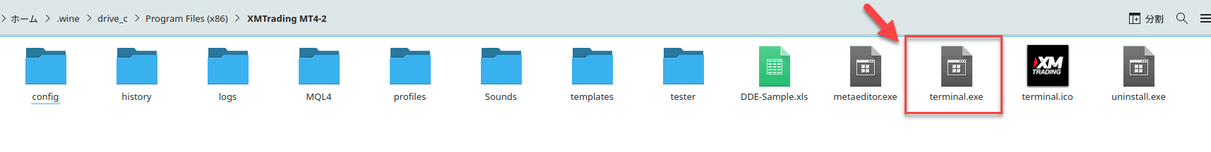 コピーしたMT4フォルダー内のterminal.exeを実行する画面